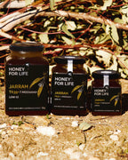 葉と枝の自然の背景に置かれた「Honey for Life」のジャラ蜂蜜3瓶